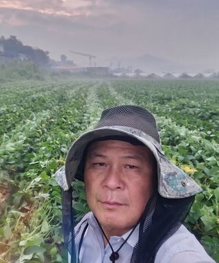 황소4님의 콩 · 영농일지 작성글 사진