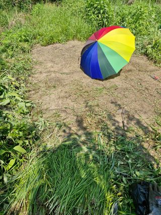 매실향기차향기님의 기타작물 · 영농일지 작성글 사진