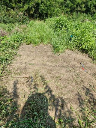 매실향기차향기님의 기타작물 · 영농일지 작성글 사진