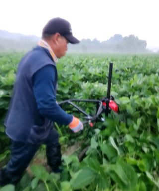 황소4님의 콩 · 영농일지 작성글 사진