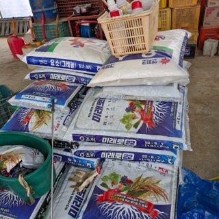 김홍례님의 벼 · 영농일지 작성글 사진