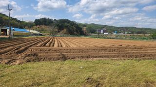 HYUN님의 참깨 · 영농일지 작성글 사진