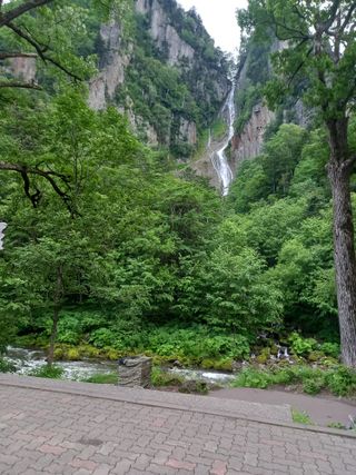 은행5k35000원님의 기타작물 · 영농일지 작성글 사진