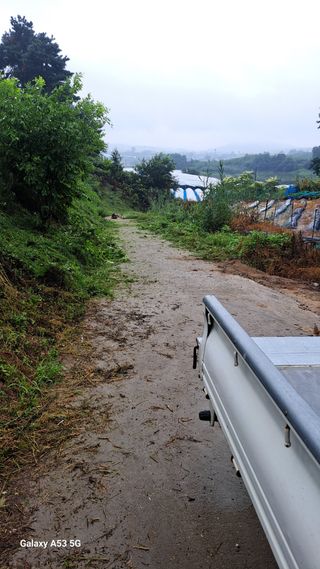 조연만님의 기타작물 · 영농일지 작성글 사진