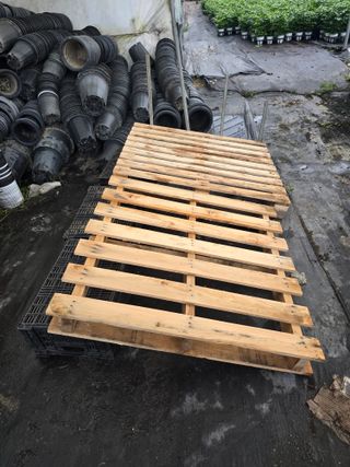 두릅나무15847님의 기타작물 · 영농일지 작성글 사진