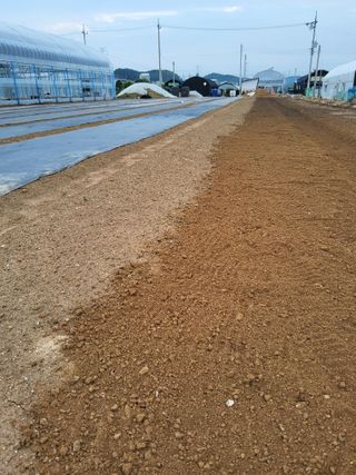 팜모닝회원 김순달 님의 기타작물 · 영농일지 작성글 사진