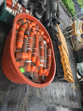 두릅나무15847님의 기타작물 · 영농일지 작성글 사진