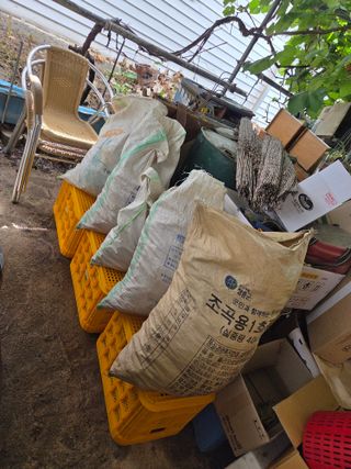 민원기님의 고추 · 영농일지 작성글 사진