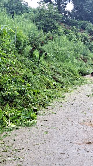 조연만님의 기타작물 · 영농일지 작성글 사진