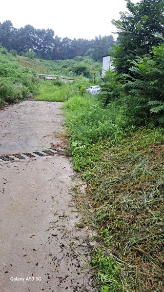 조연만님의 기타작물 · 영농일지 작성글 사진