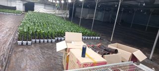 두릅나무15847님의 기타작물 · 영농일지 작성글 사진