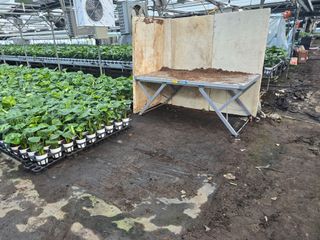 두릅나무15847님의 기타작물 · 영농일지 작성글 사진