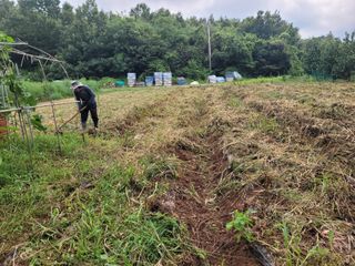 김정은님의 기타작물 · 영농일지 작성글 사진