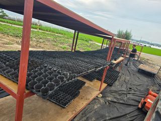 두릅나무15847님의 기타작물 · 영농일지 작성글 사진