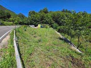 강호지인님의 기타작물 · 영농일지 작성글 사진