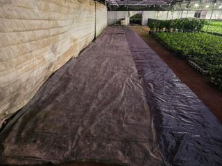 두릅나무15847님의 기타작물 · 영농일지 작성글 사진