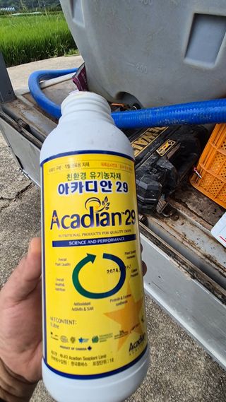 임상옥님의 기타작물 · 영농일지 작성글 사진