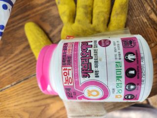 박진한님의 감 · 영농일지 작성글 사진