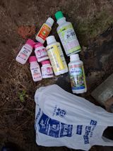 팜모닝 포도·영농일지 게시글 이미지