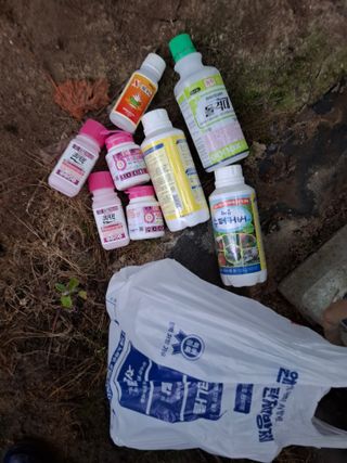 김영기님의 포도 · 영농일지 작성글 사진