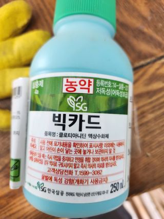 박진한님의 감 · 영농일지 작성글 사진