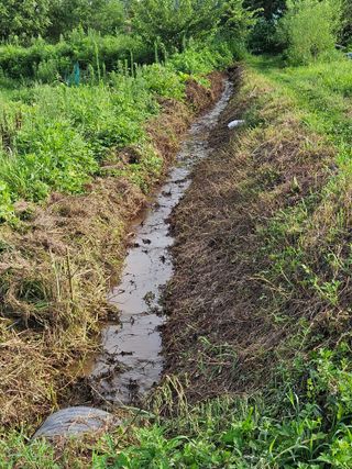 장문업 님의 기타작물 · 영농일지 작성글 사진
