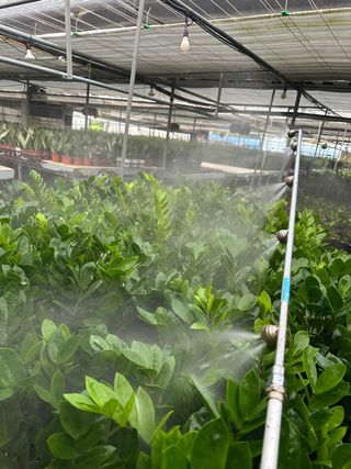 두릅나무15847님의 기타작물 · 영농일지 작성글 사진