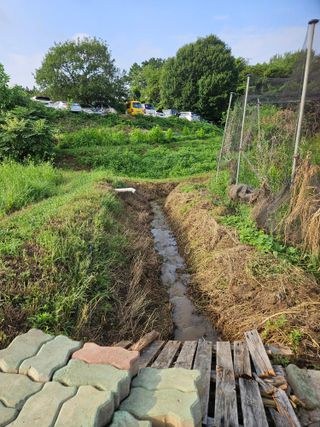 장문업 님의 기타작물 · 영농일지 작성글 사진
