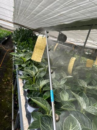 두릅나무15847님의 기타작물 · 영농일지 작성글 사진