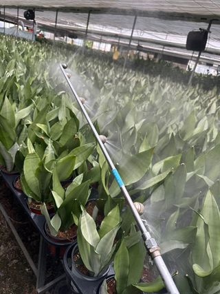 두릅나무15847님의 기타작물 · 영농일지 작성글 사진