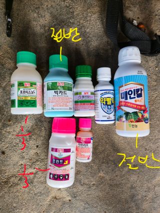 김진수님의 기타작물 · 영농일지 작성글 사진