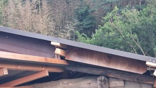 촌사리님의 기타작물 · 영농일지 작성글 사진