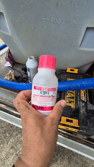 임상옥님의 기타작물 · 영농일지 작성글 사진