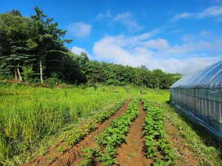어명순님의 기타작물 · 영농일지 작성글 사진