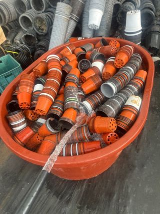 두릅나무15847님의 기타작물 · 영농일지 작성글 사진