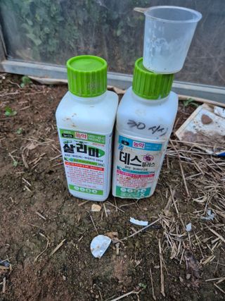 김기철님의 들깨 · 영농일지 작성글 사진