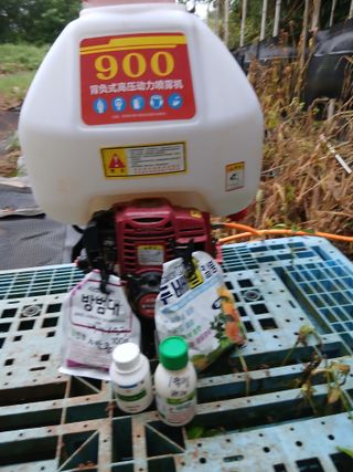 김형수님의 기타작물 · 영농일지 작성글 사진