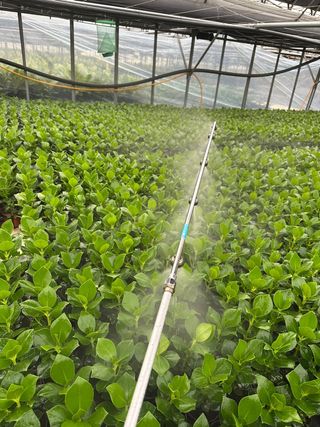 두릅나무15847님의 기타작물 · 영농일지 작성글 사진