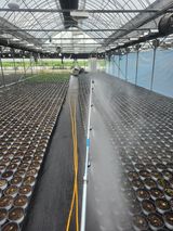 팜모닝 기타작물·영농일지 게시글 이미지