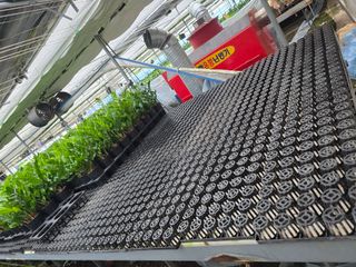 두릅나무15847님의 기타작물 · 영농일지 작성글 사진