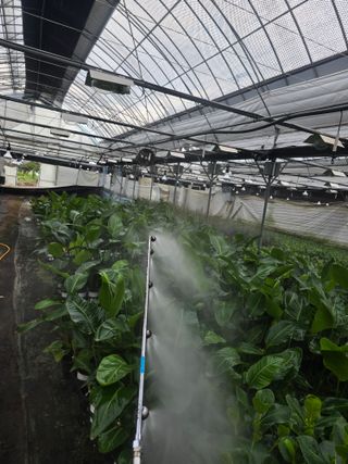 두릅나무15847님의 기타작물 · 영농일지 작성글 사진