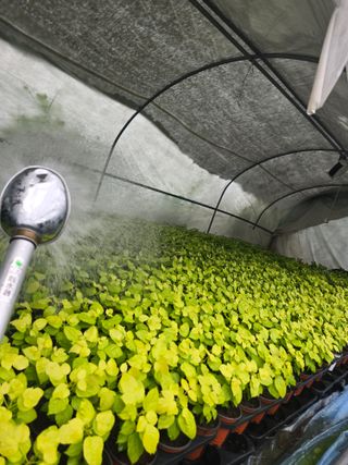 두릅나무15847님의 기타작물 · 영농일지 작성글 사진