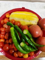 팜모닝 기타작물·영농일지 게시글 이미지