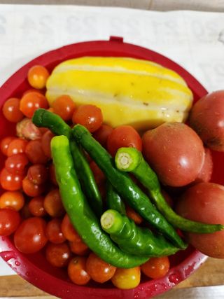 옥수수14683님의 기타작물 · 영농일지 작성글 사진