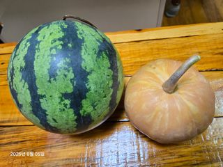 Captain김상곤님의 귤 · 영농일지 작성글 사진