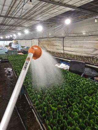 두릅나무15847님의 기타작물 · 영농일지 작성글 사진