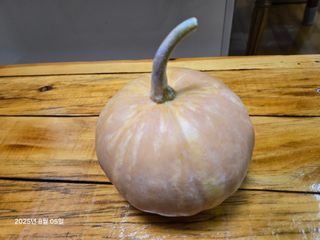 Captain김상곤님의 귤 · 영농일지 작성글 사진