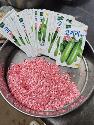 병풍취산채농원님의 기타작물 · 영농일지 작성글 사진