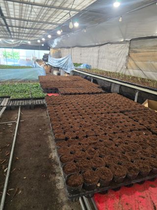 두릅나무15847님의 기타작물 · 영농일지 작성글 사진