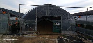 이장호님의 기타작물 · 영농일지 작성글 사진